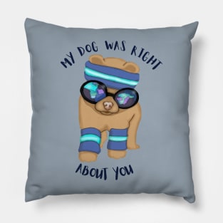 My dog was right about you Pillow