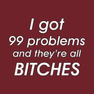 99 problems and they're all bitches T-Shirt