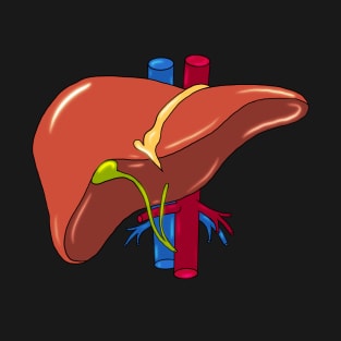 Liver anatomy Art T-Shirt