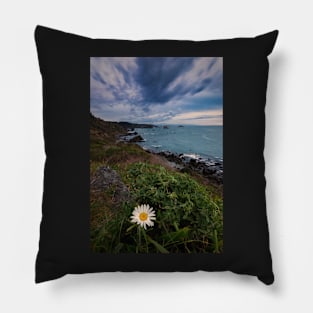 Wild Daisy Blooming on the Cliffs of Northern California Pillow