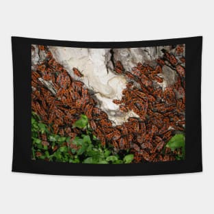 A bugs' feast Tapestry