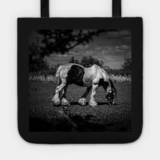 Grazing Black And White Horse Tote