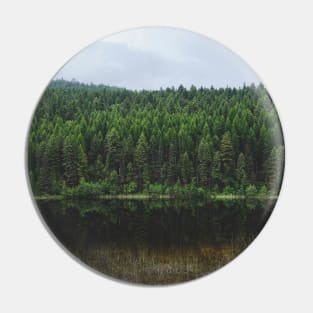 Fresh Air, Forest Landscape Photograph Pin