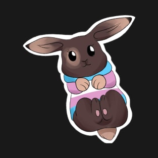 transgender bunny T-Shirt