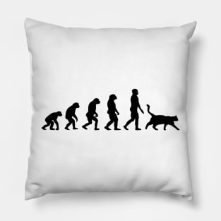 black cat reincarnation Pillow