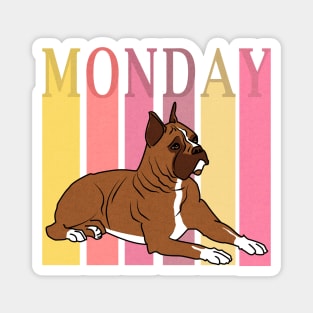 Pink mondays sucks Magnet