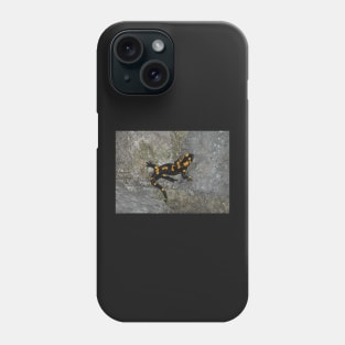 Fire Salamander on Rock Phone Case