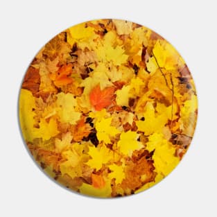 Fall leaves Pin