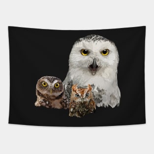 Snowy Owl, Owl and Little Owl Tapestry