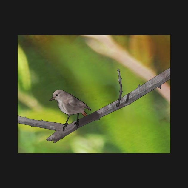 Redstart resting on a branch by Musings Home Decor