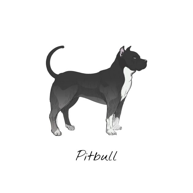 Pitbull dog by This is store