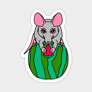 Watermelon Rat (Full Color Version) Magnet