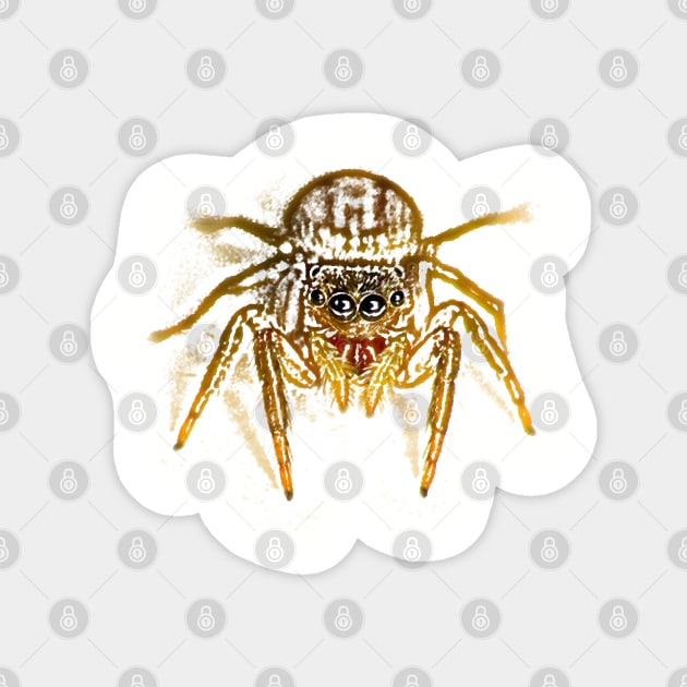 Unique and organic photo of a jumping spider looking right at you Magnet by AvonPerception