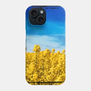 Yellow and Blue - Canola Field and Sky Phone Case