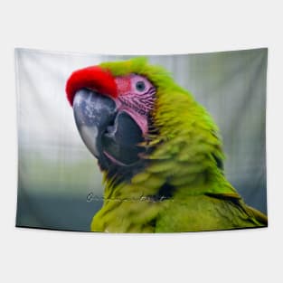 Parrot (photo) Tapestry