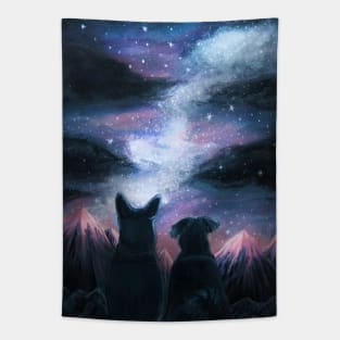 Stargazing Tapestry