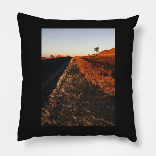 Single Tree in Dry Grassland in Warm Sunset Light Pillow by visualspectrum