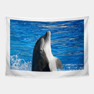 Dolphin Tapestry