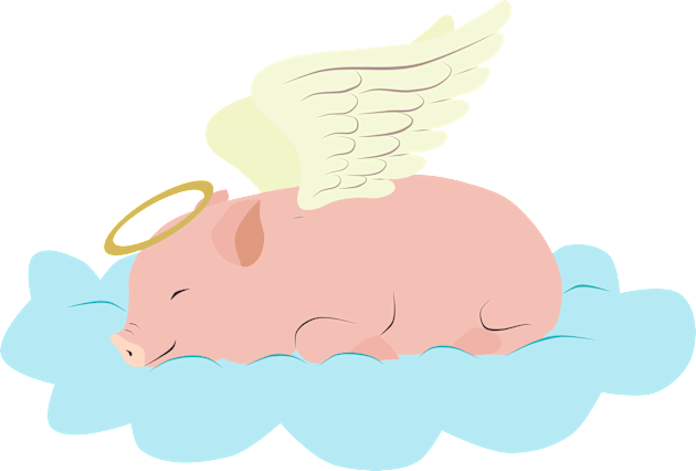 Piggy angel sleeping on a cloud Kids T-Shirt by LittleAna