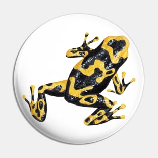 Dart frog Pin