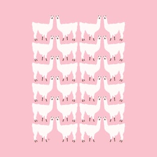 Llamas in Pink T-Shirt