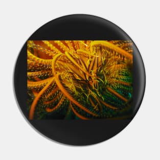 Feather Star Pin