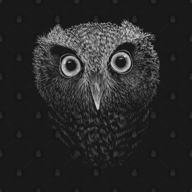 Screech Owl Drawing | Staring Big Eyes Owly Art by SkizzenMonster