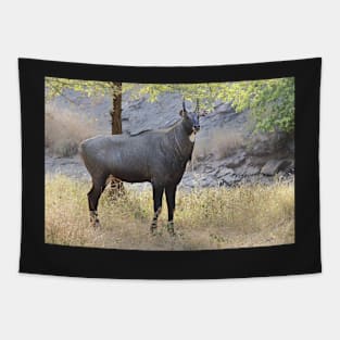 The Nilgai is the largest Asian antelope Tapestry