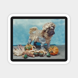 Pug Dog Scarecrow Magnet