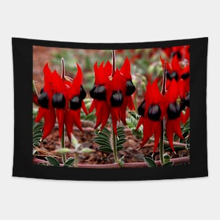 Sturt's Desert Pea Tapestry