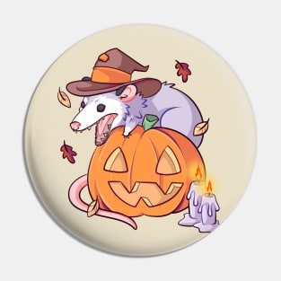 Pumpkin Possum Pin