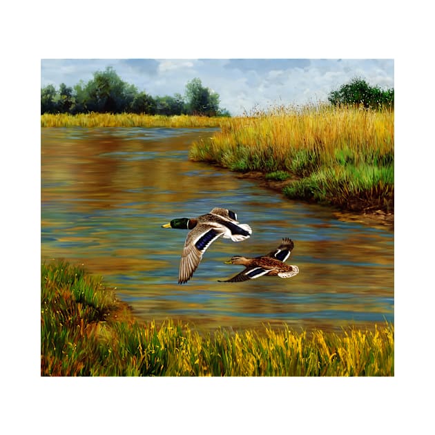 Mallard Ducks Flying Over Water in Wetlands by csforest