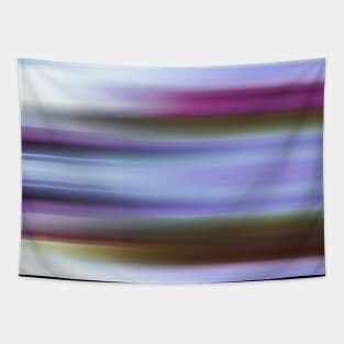 Speed Of Colors Tapestry