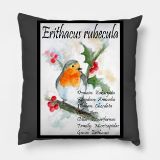 Robin redbreast Pillow