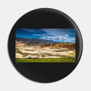 Painted Hills Valley Pin