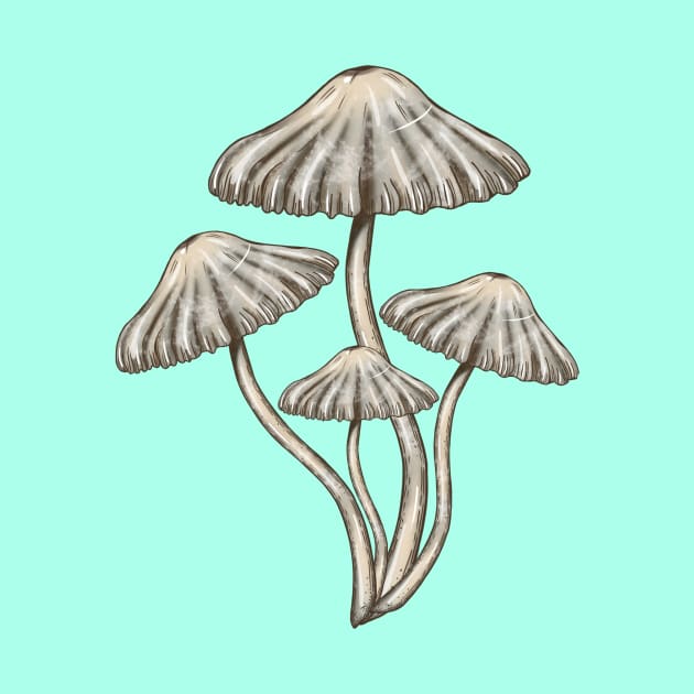 Mushroom Master Toadstools by Mushroom Master