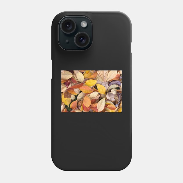 Forest Bathing with Fall Leaves Phone Case by Photomersion