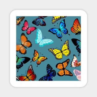 Colorful Butterflies blue background Magnet