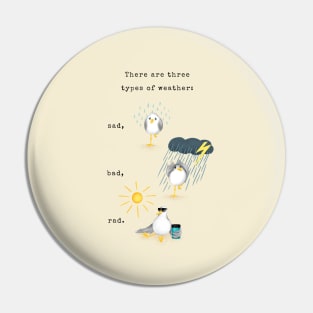 Three Types of Weather Pin