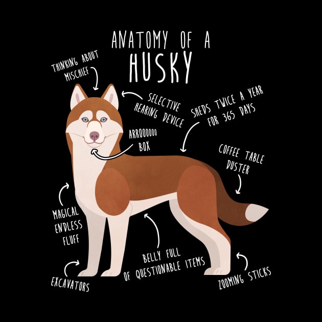 Red Siberian Husky Dog Anatomy by Psitta