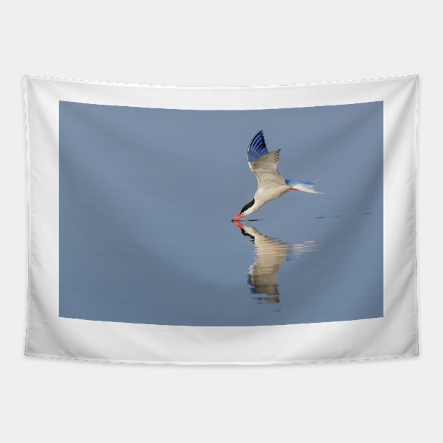 Common Tern Drinking Tapestry by jforno