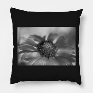 Firewheel in Mono Pillow