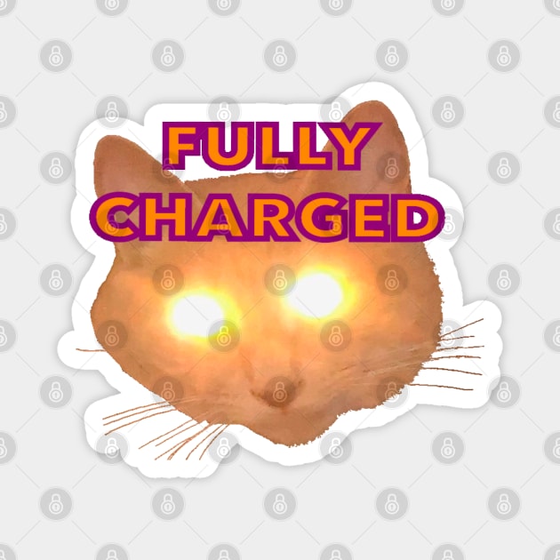 Fully Charged Glowing Cat Magnet by wildjellybeans