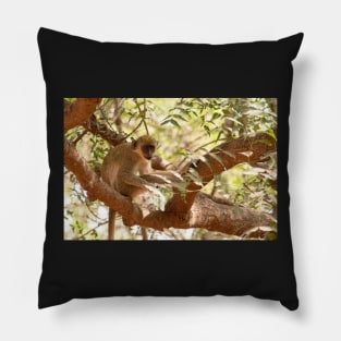 Green Monkey Pillow