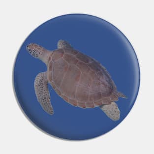 Real turtle swimming T-shirt, photo printed on the front Pin