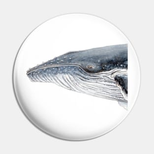 Humpback whale portrait Pin