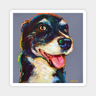 Smiling Australian Shepherd Mix Magnet