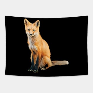 Fox - Woodland Themed Kids Room, Funny Gifts For Forester, Cute Animals Tapestry