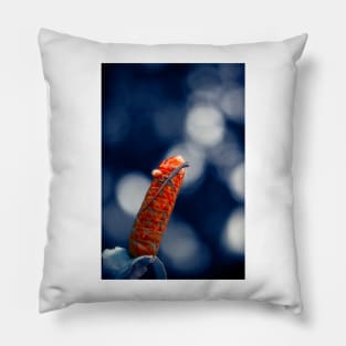 Red Ginger Flower Pillow