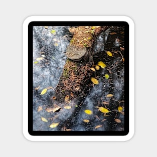 Ecstasy of Fall Magnet